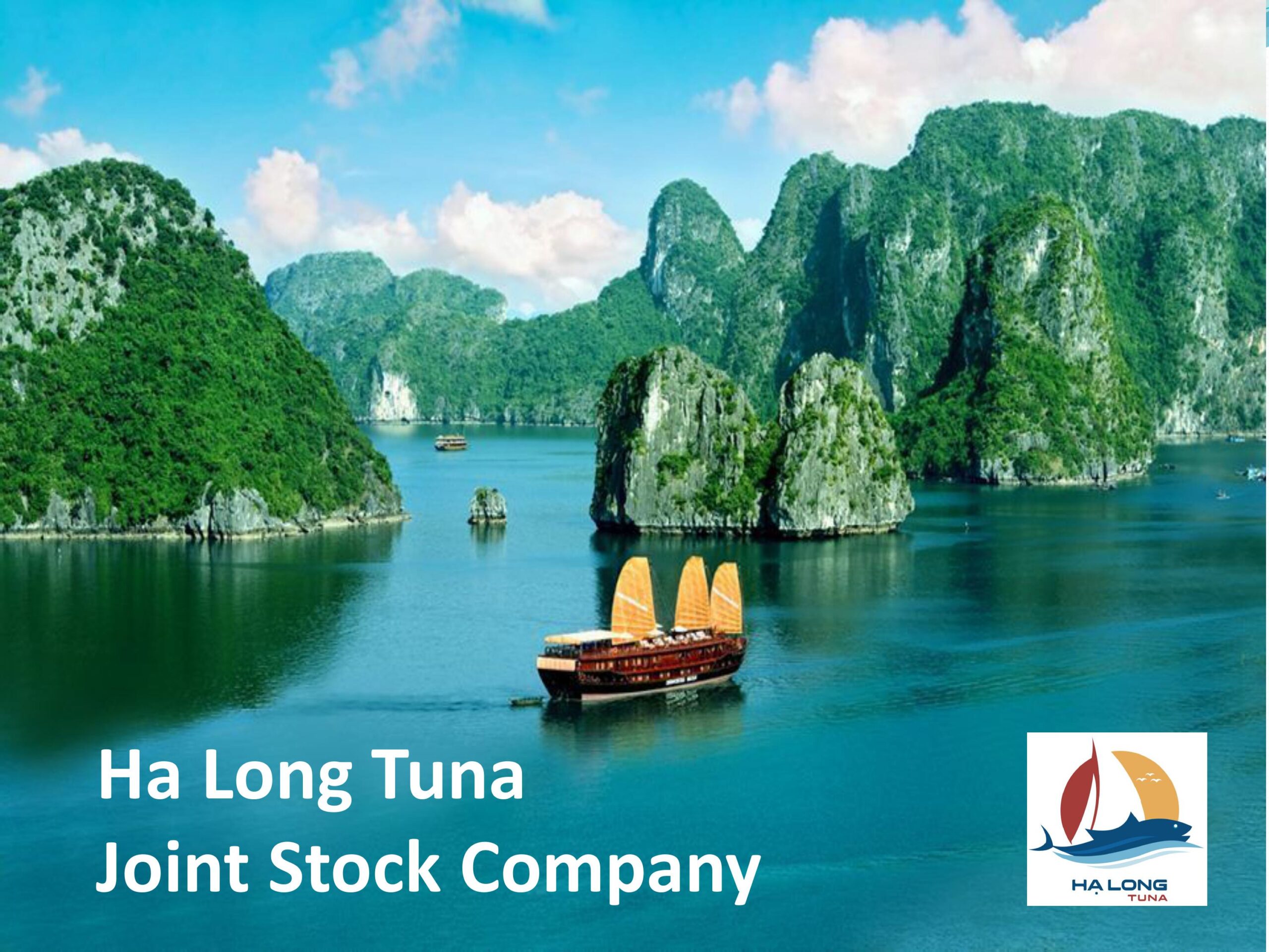 Halong Tuna Presentation Dec 2023.pptx Hình ảnh 0