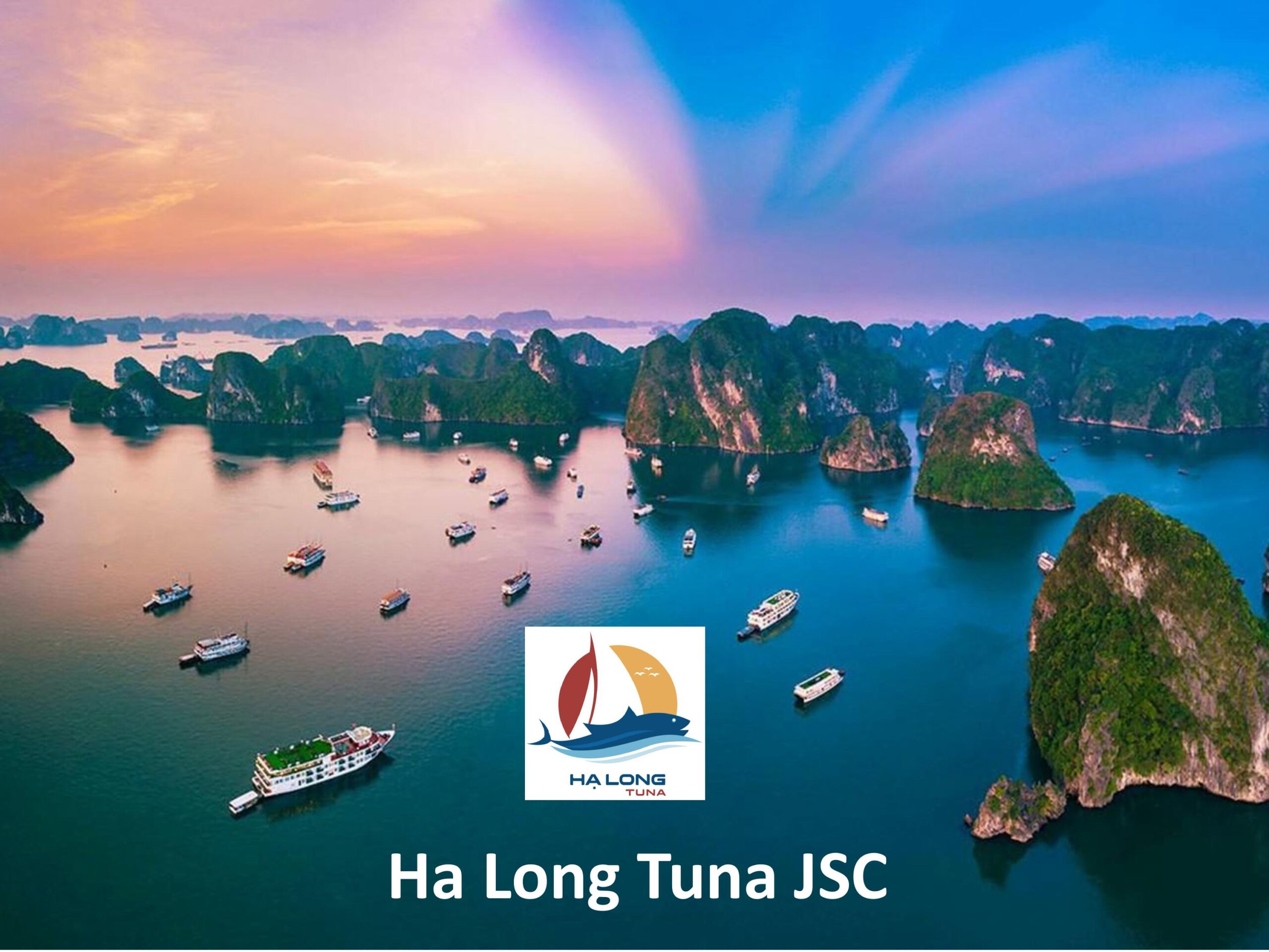 Halong Tuna Presentation Dec 2023.pptx Hình ảnh 4